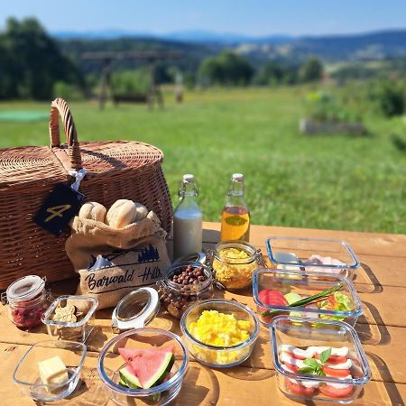 Barwald Hills - Piekny Widok Na Babia Gore I Beskidy Wadowice Ngoại thất bức ảnh
